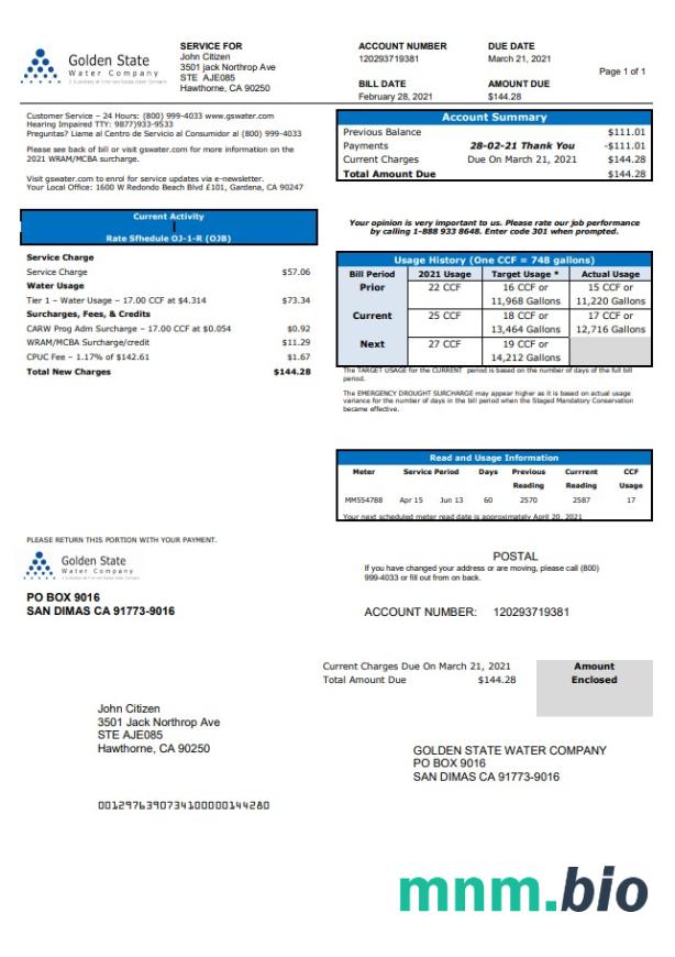 Usa California Golden State Water Firma rachunek za media szablon w .doc i .format pdf
